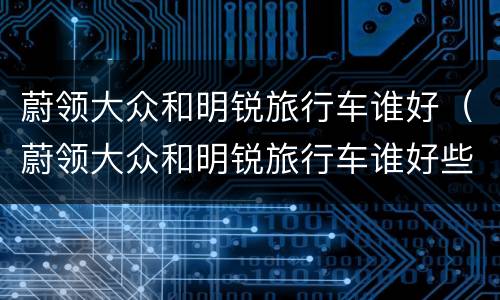 蔚领大众和明锐旅行车谁好（蔚领大众和明锐旅行车谁好些）