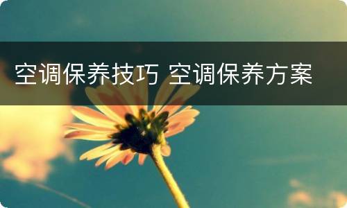 空调保养技巧 空调保养方案