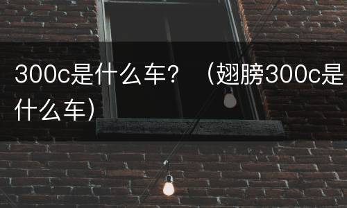300c是什么车？（翅膀300c是什么车）
