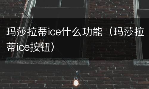 玛莎拉蒂ice什么功能（玛莎拉蒂ice按钮）