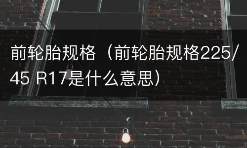 前轮胎规格（前轮胎规格225/45 R17是什么意思）