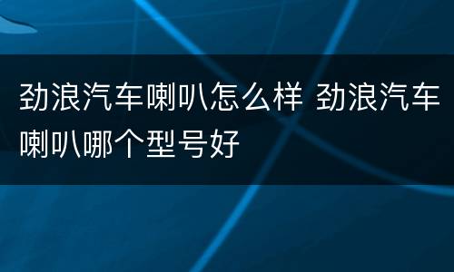 劲浪汽车喇叭怎么样 劲浪汽车喇叭哪个型号好