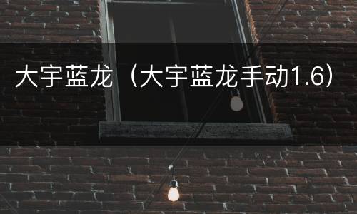 大宇蓝龙（大宇蓝龙手动1.6）
