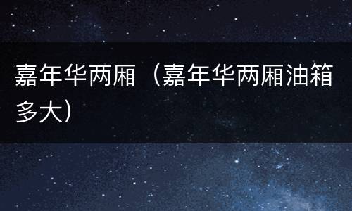 嘉年华两厢（嘉年华两厢油箱多大）