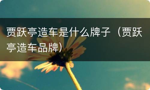 贾跃亭造车是什么牌子（贾跃亭造车品牌）