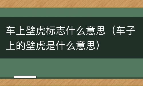 车上壁虎标志什么意思（车子上的壁虎是什么意思）