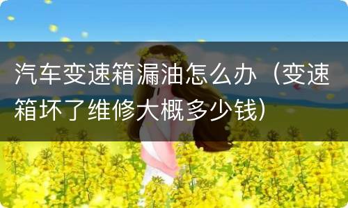 汽车变速箱漏油怎么办（变速箱坏了维修大概多少钱）