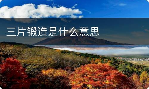三片锻造是什么意思