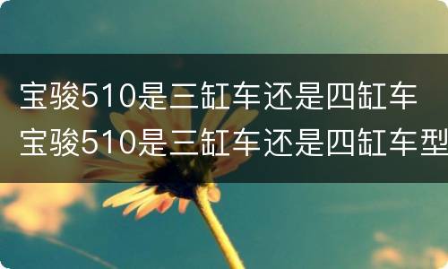 宝骏510是三缸车还是四缸车 宝骏510是三缸车还是四缸车型