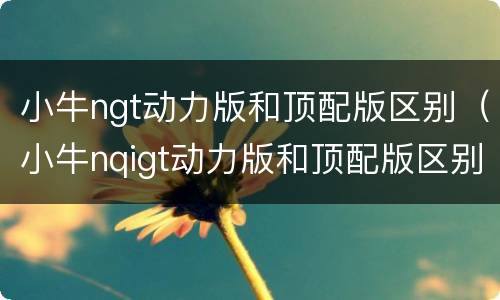 小牛ngt动力版和顶配版区别（小牛nqigt动力版和顶配版区别）