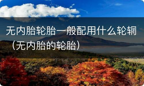 无内胎轮胎一般配用什么轮辋（无内胎的轮胎）
