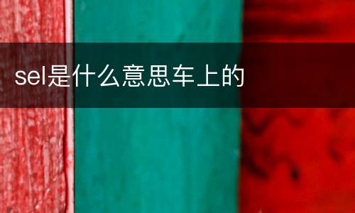sel是什么意思车上的