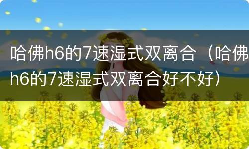 哈佛h6的7速湿式双离合（哈佛h6的7速湿式双离合好不好）