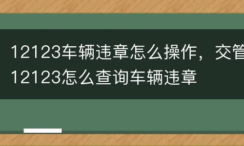12123车辆违章怎么操作，交管12123怎么查询车辆违章
