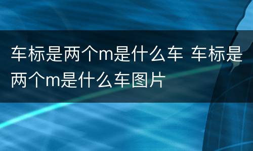 车标是两个m是什么车 车标是两个m是什么车图片