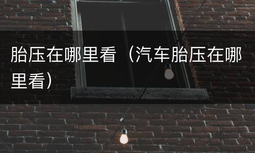 胎压在哪里看（汽车胎压在哪里看）