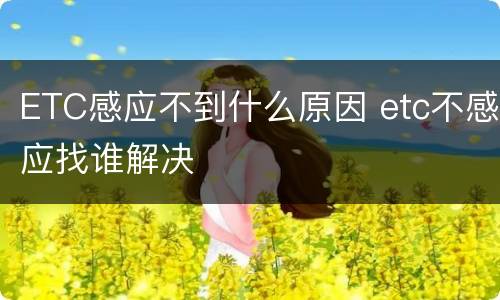 ETC感应不到什么原因 etc不感应找谁解决