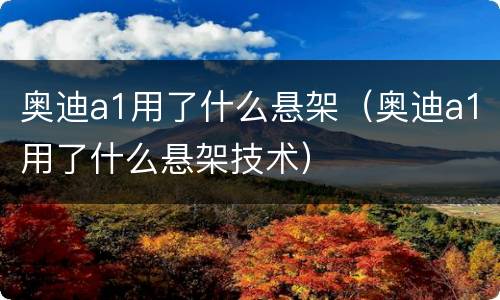 奥迪a1用了什么悬架（奥迪a1用了什么悬架技术）
