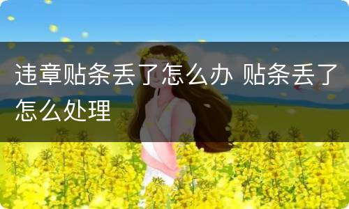 违章贴条丢了怎么办 贴条丢了怎么处理
