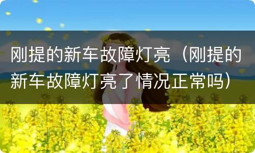 刚提的新车故障灯亮（刚提的新车故障灯亮了情况正常吗）