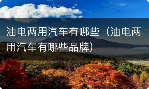 油电两用汽车有哪些（油电两用汽车有哪些品牌）