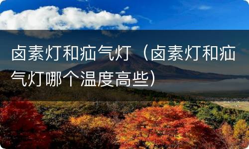 卤素灯和疝气灯（卤素灯和疝气灯哪个温度高些）