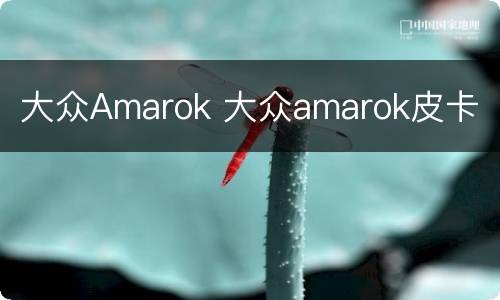 大众Amarok 大众amarok皮卡