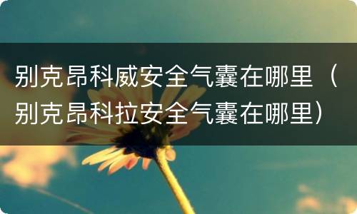 别克昂科威安全气囊在哪里（别克昂科拉安全气囊在哪里）