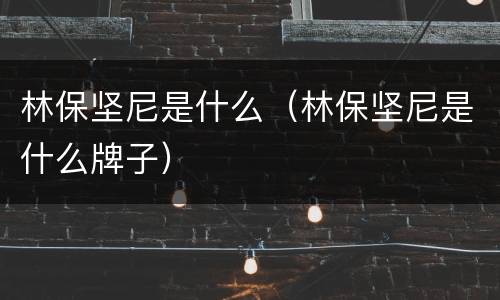 林保坚尼是什么（林保坚尼是什么牌子）