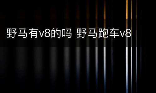 野马有v8的吗 野马跑车v8
