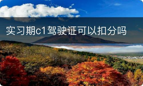 实习期c1驾驶证可以扣分吗