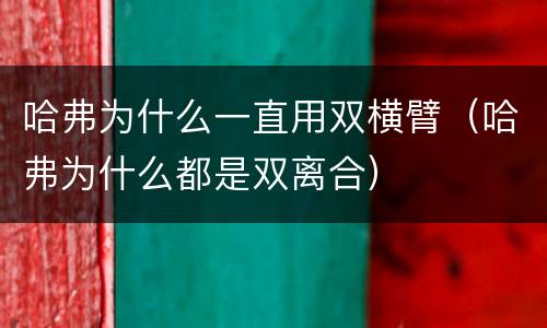 哈弗为什么一直用双横臂（哈弗为什么都是双离合）