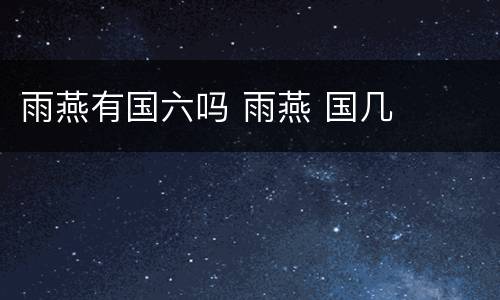 雨燕有国六吗 雨燕 国几