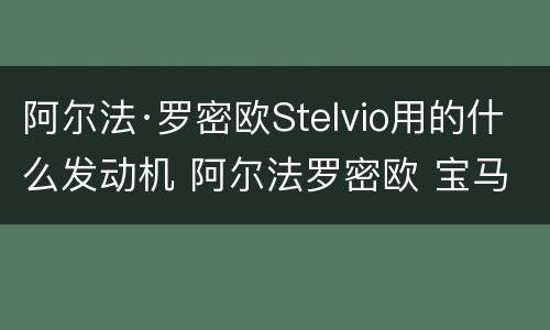 阿尔法·罗密欧Stelvio用的什么发动机 阿尔法罗密欧 宝马发动机