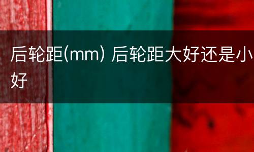 后轮距(mm) 后轮距大好还是小好