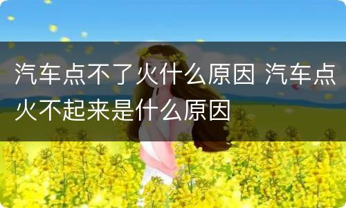汽车点不了火什么原因 汽车点火不起来是什么原因