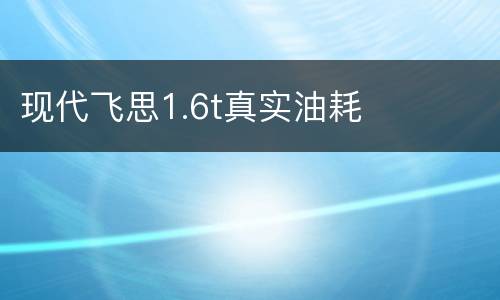 现代飞思1.6t真实油耗