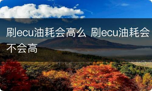 刷ecu油耗会高么 刷ecu油耗会不会高