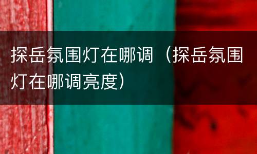 探岳氛围灯在哪调（探岳氛围灯在哪调亮度）
