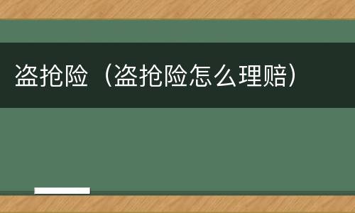 盗抢险（盗抢险怎么理赔）
