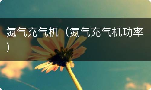 氮气充气机（氮气充气机功率）