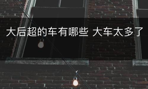 大后超的车有哪些 大车太多了