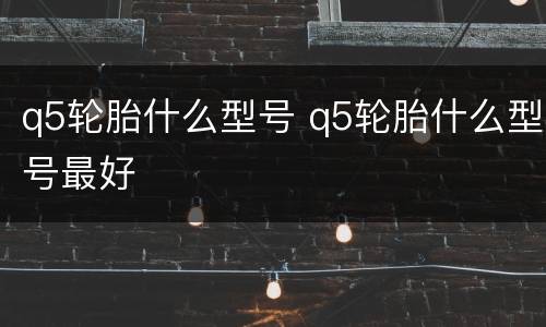 q5轮胎什么型号 q5轮胎什么型号最好