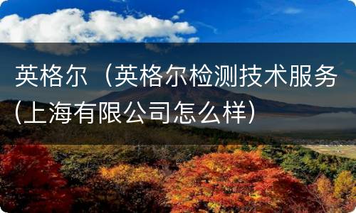 英格尔（英格尔检测技术服务(上海有限公司怎么样）