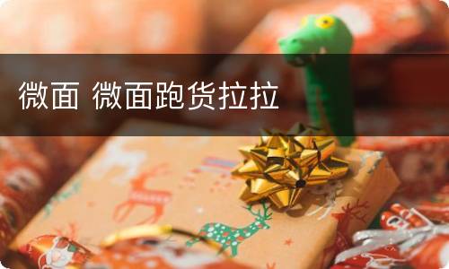 微面 微面跑货拉拉