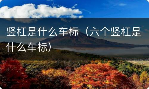 竖杠是什么车标（六个竖杠是什么车标）