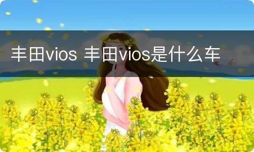丰田vios 丰田vios是什么车