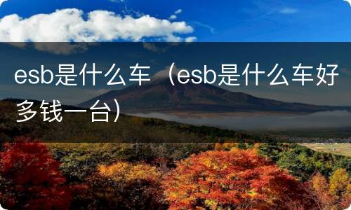 esb是什么车（esb是什么车好多钱一台）