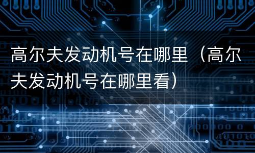 高尔夫发动机号在哪里（高尔夫发动机号在哪里看）