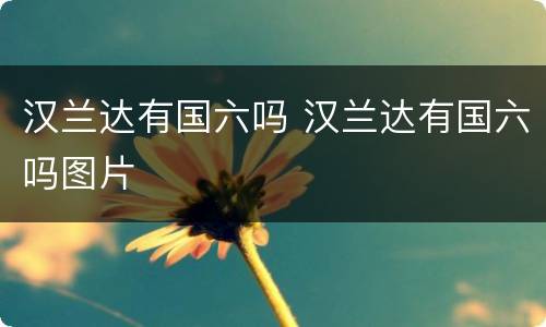 汉兰达有国六吗 汉兰达有国六吗图片